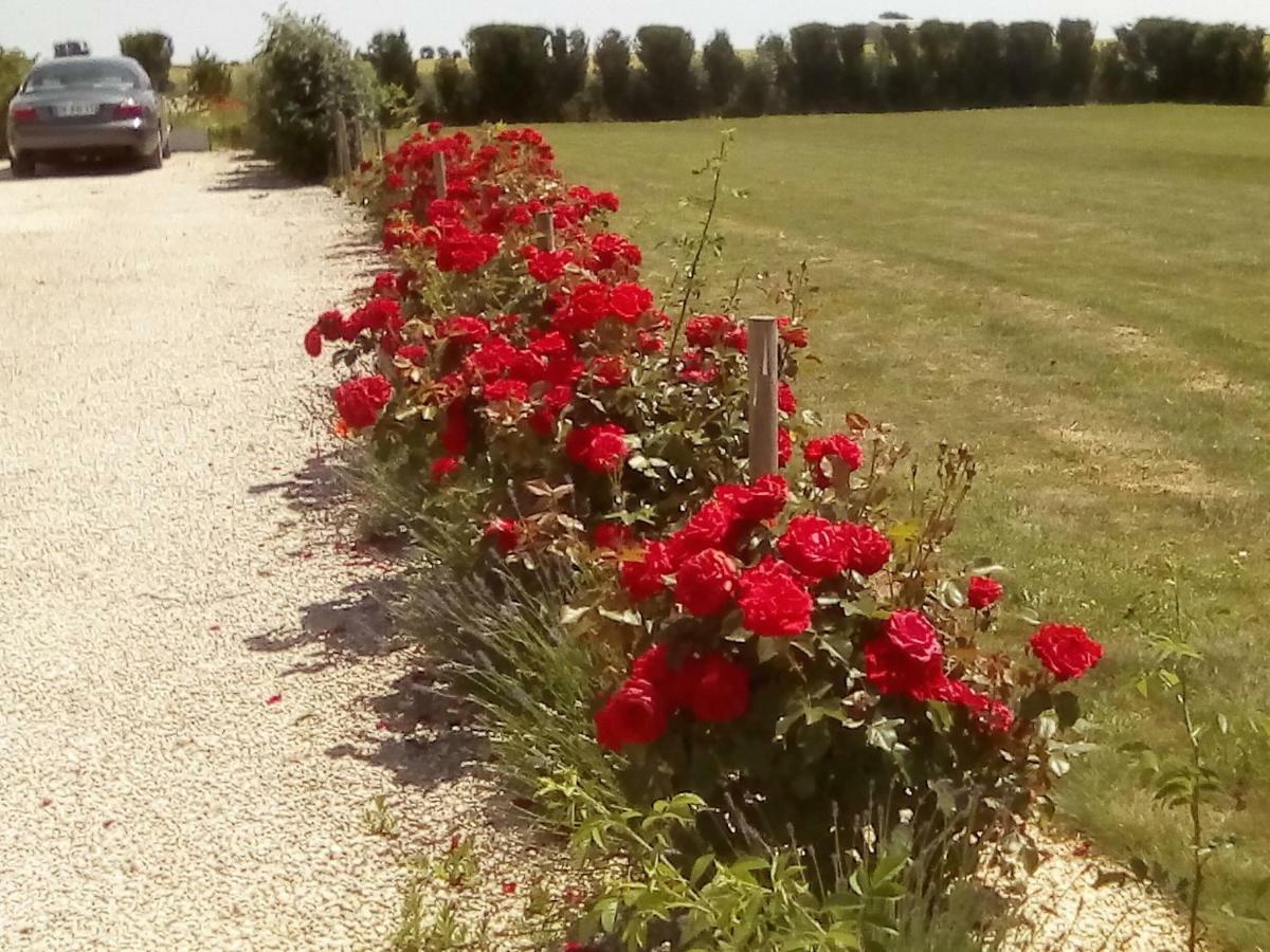 Maison Lavande Bed and Breakfast Saint-Jean-dʼAngély Εξωτερικό φωτογραφία